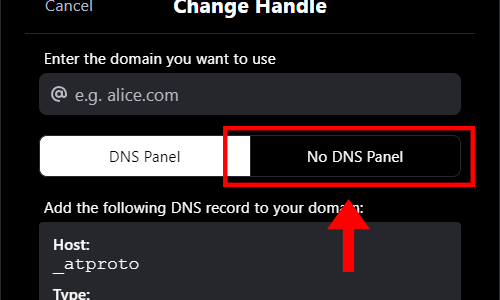 select no dns panel